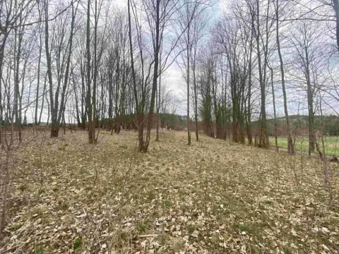 Dražba louky, Žinkovy, 4100 m2