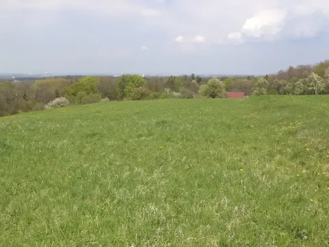 Dražba louky, Chotěbuz, 6967 m2