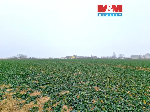 Prodej pozemku pro bydlení, Štěpánkovice, 5343 m2