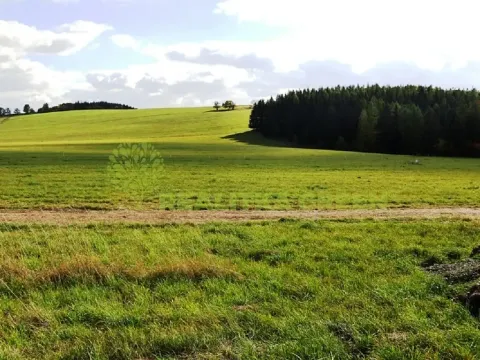 Prodej louky, Světlá nad Sázavou, 41681 m2