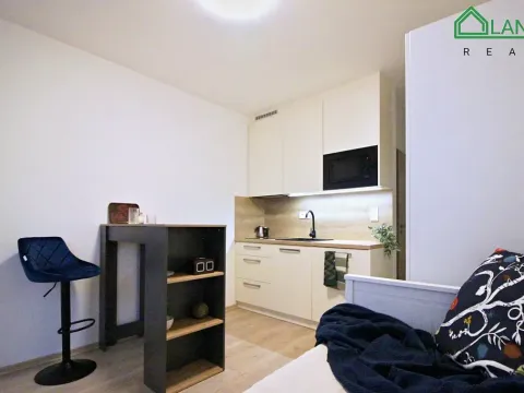 Pronájem bytu 1+kk, Brno, Francouzská, 23 m2