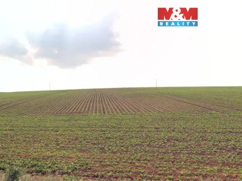 Prodej pole, Štěpánkovice, 2579 m2