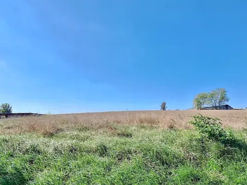 Prodej pozemku pro bydlení, Hrušovany u Brna, Pod Střediskem, 1062 m2