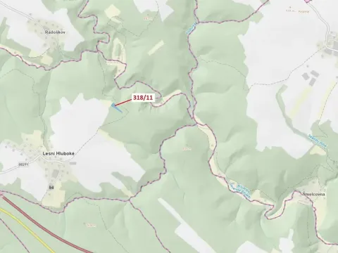 Dražba lesa, Lesní Hluboké, 3838 m2