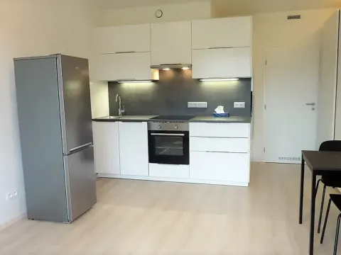 Pronájem bytu 1+kk, Praha - Hodkovičky, Šífařská, 34 m2