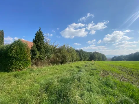 Prodej rodinného domu, Horní Bludovice, 524 m2