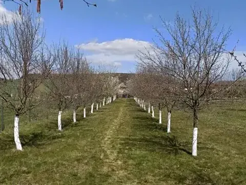 Prodej pozemku pro bydlení, Uherský Brod, Trnková, 1000 m2