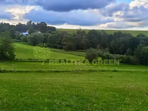 Prodej louky, Světlá nad Sázavou, 41681 m2