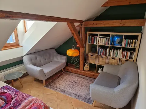 Pronájem bytu 2+1, Olomouc, Panská, 50 m2