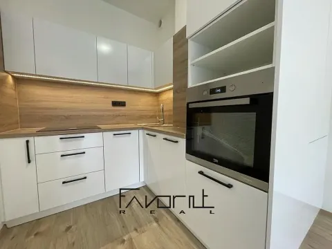 Pronájem bytu 2+kk, Ostrava, Hasičská, 153 m2