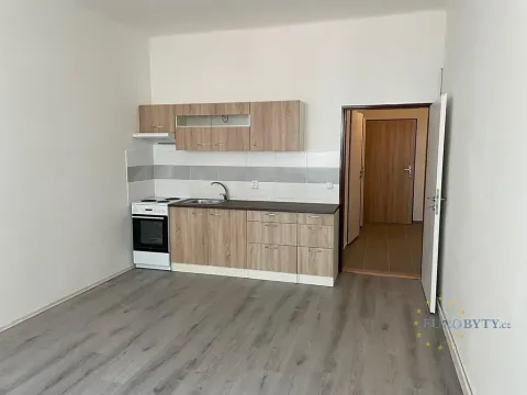 Pronájem bytu 1+kk, Praha - Nusle, Žateckých, 29 m2