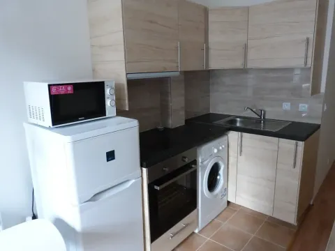 Pronájem bytu 1+kk, Praha - Michle, Čapkova, 20 m2