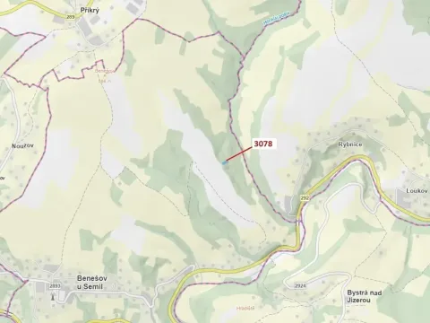 Dražba lesa, Benešov u Semil, 1110 m2