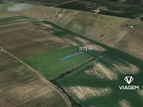 Prodej pole, Prušánky, 1175 m2