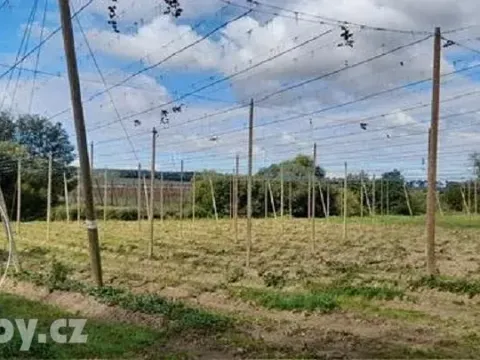 Dražba sadu/vinice, Lišany, 24161 m2