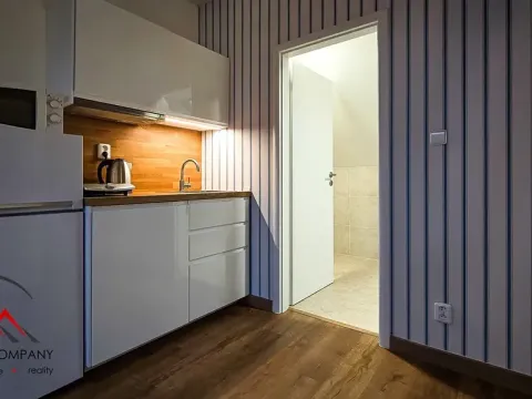 Pronájem apartmánu, Ostrava, Cihelní, 38 m2