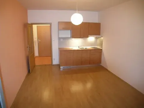 Pronájem bytu 1+kk, Brno, Božetěchova, 23 m2