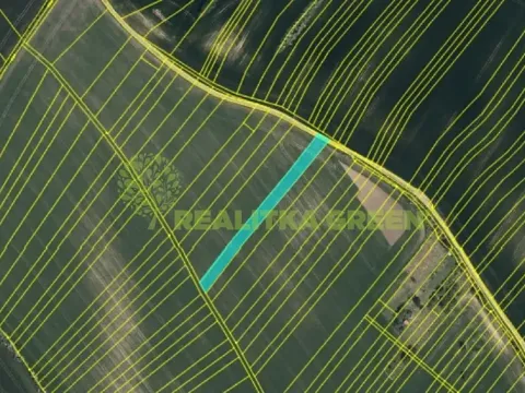 Prodej pole, Svatobořice-Mistřín, 8725 m2