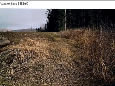 Prodej lesa, Kamenice nad Lipou, 5521 m2