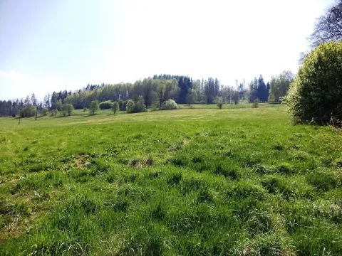 Prodej pole, Semily, 34107 m2