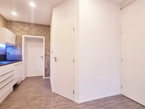 Pronájem bytu 1+1, Brno, Dobrovského, 44 m2