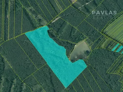 Prodej lesa, Domanín, 106026 m2