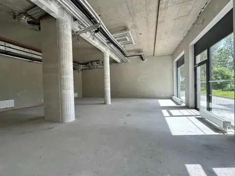 Pronájem obchodního prostoru, Brno, Opuštěná, 134 m2