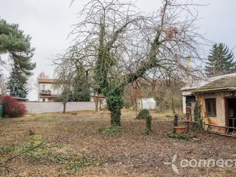 Prodej pozemku, Praha - Kbely, Borovnická, 895 m2