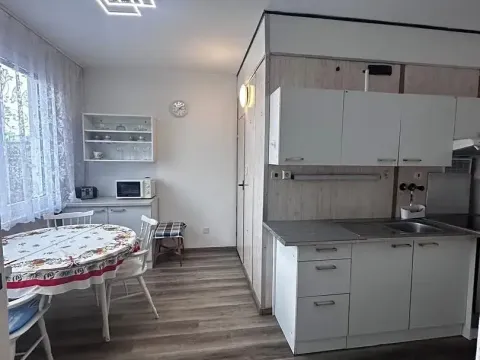 Pronájem bytu 1+1, Strakonice, Bezděkovská, 40 m2
