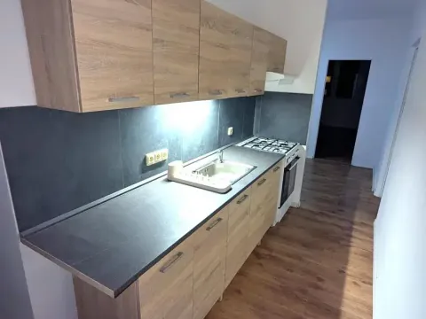 Pronájem bytu 2+1, Ústí nad Labem, Gagarinova, 64 m2