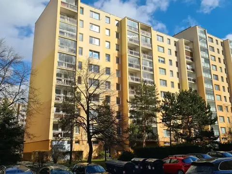 Pronájem bytu 1+1, Praha - Chodov, Brodského, 30 m2