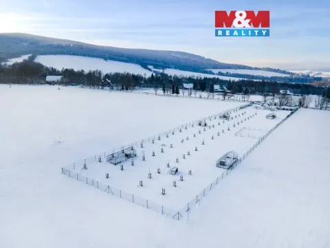 Prodej pozemku pro bydlení, Králíky - Dolní Boříkovice, 8432 m2