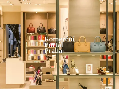 Pronájem obchodního prostoru, Praha - Nové Město, Václavské náměstí, 309 m2