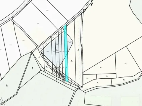 Dražba louky, Kopidlno, 1439 m2