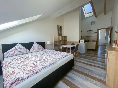 Pronájem bytu 1+kk, Praha - Vršovice, Sevastopolská, 34 m2