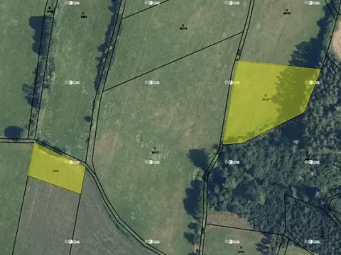 Prodej pole, Hoštice, 2207 m2