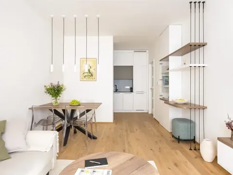 Prodej bytu 2+kk, Praha - Břevnov, Pod Drinopolem, 46 m2