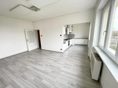 Prodej bytu 2+1, Litvínov, Vinohradská, 55 m2