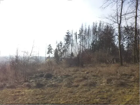 Dražba louky, Tábor, 1007 m2