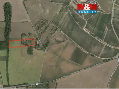 Prodej pole, Přítluky - Nové Mlýny, 5724 m2