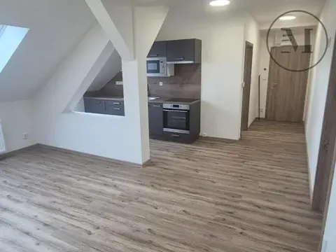 Pronájem bytu 2+kk, České Budějovice, Novohradská, 53 m2