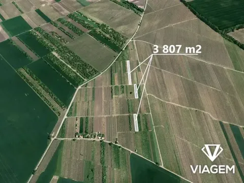 Prodej podílu pole, Moravský Žižkov, 1427 m2