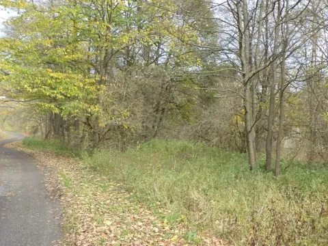 Dražba pozemku, Aš, 1691 m2