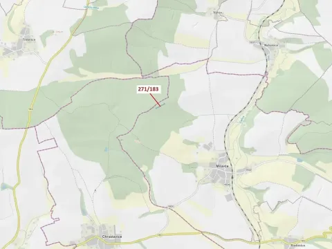 Dražba lesa, Milavče, 2398 m2