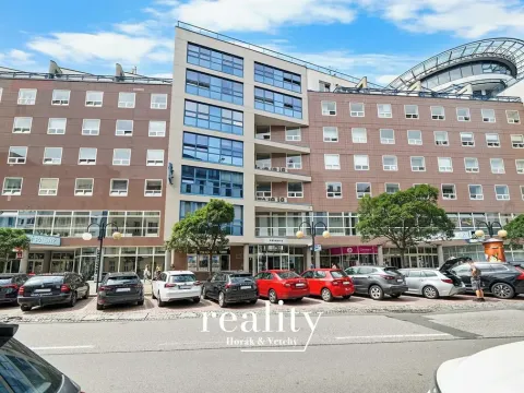 Prodej bytu 4+1, Brno, Příkop, 181 m2