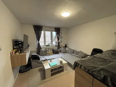 Prodej bytu 2+1, Trhové Sviny, Branka, 51 m2