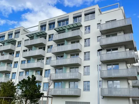 Pronájem bytu 1+kk, Praha - Dolní Měcholupy, Honzíkova, 28 m2