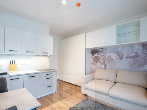 Pronájem bytu 1+kk, Tuchoměřice, V Kněžívce, 22 m2