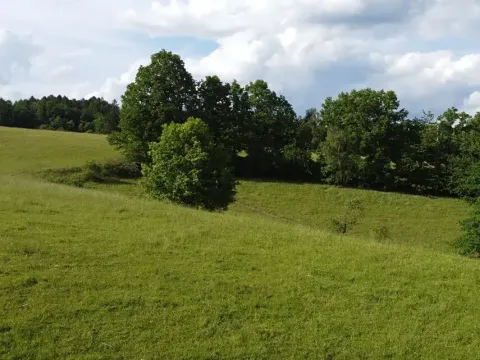 Dražba louky, Zábřeh, 2481 m2