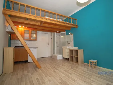 Pronájem bytu 1+kk, Praha - Žižkov, Vlkova, 22 m2